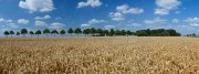 Foto: Michael Gielen / Kunde: swb / Agentur: hmmh